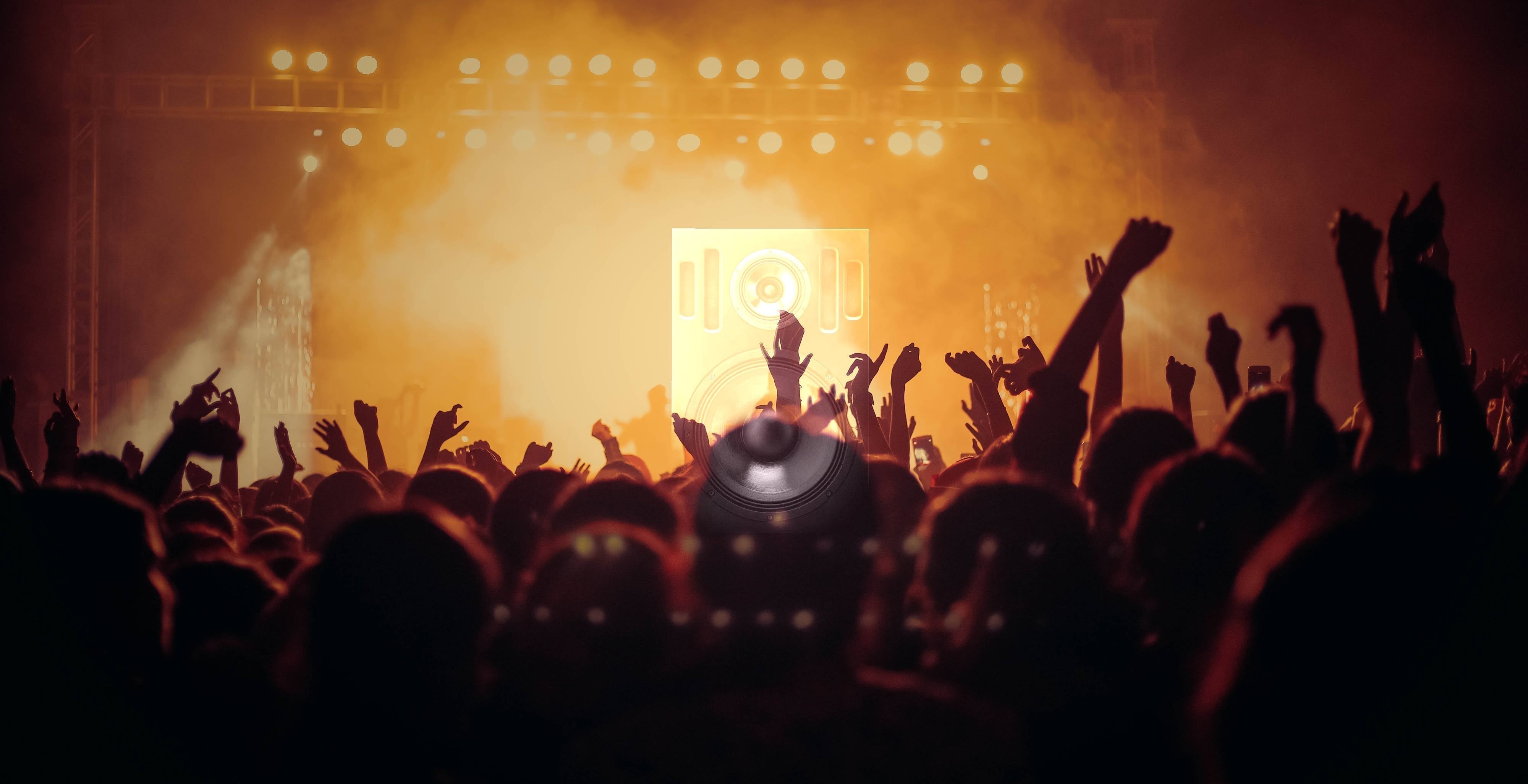 The Sigberg Audio Customer