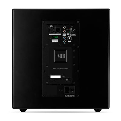 10D Dual 10 inch Subwoofer for compact music performance