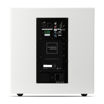 10D Dual 10 inch Subwoofer for compact music performance