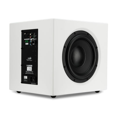 10D Dual 10 inch Subwoofer for compact music performance
