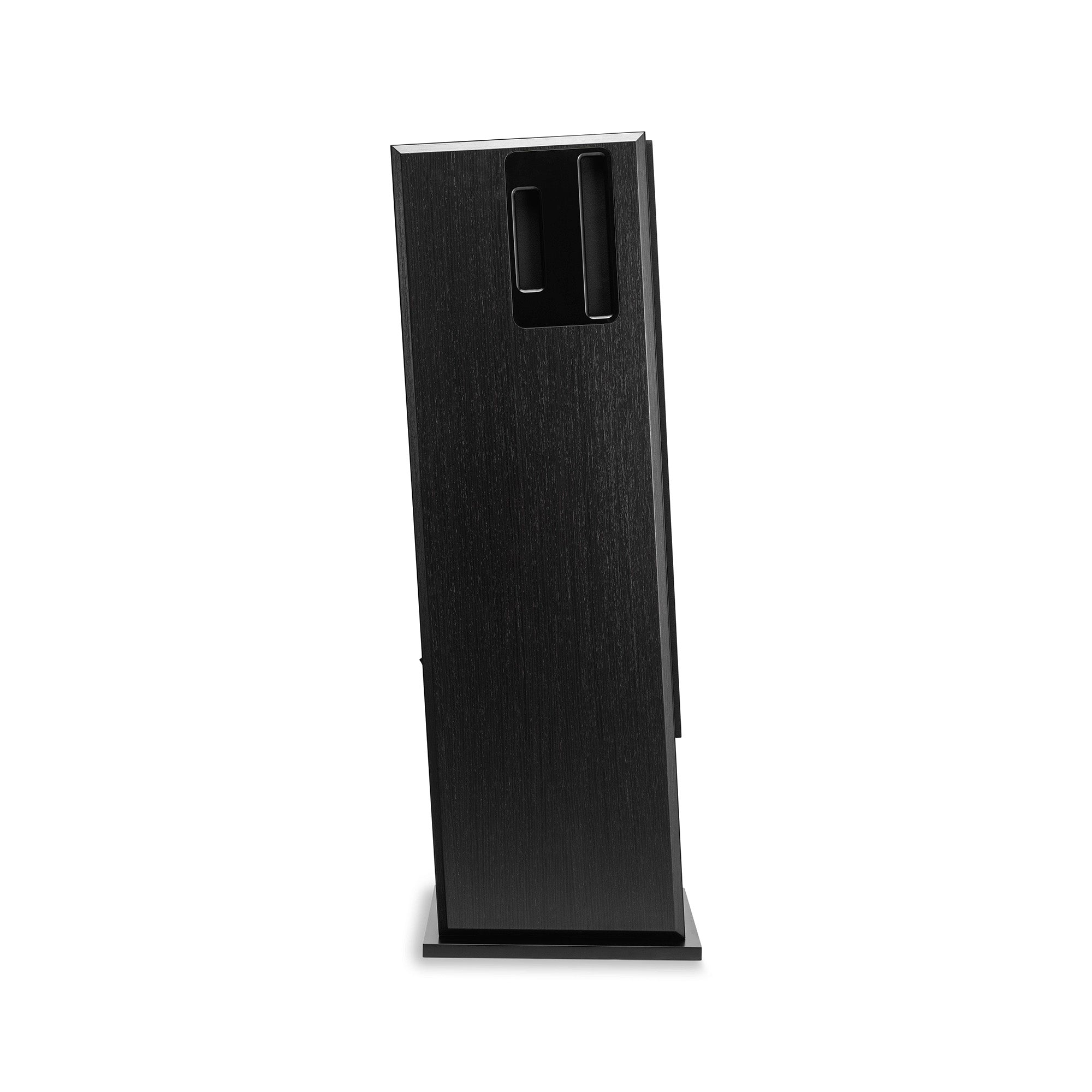 Saranna Full Range Active Floorstander (pair)